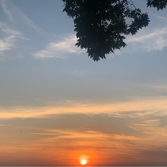 Meet your Posher, Jaylyn - Picture 1 of 1